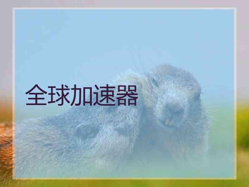 全球加速器