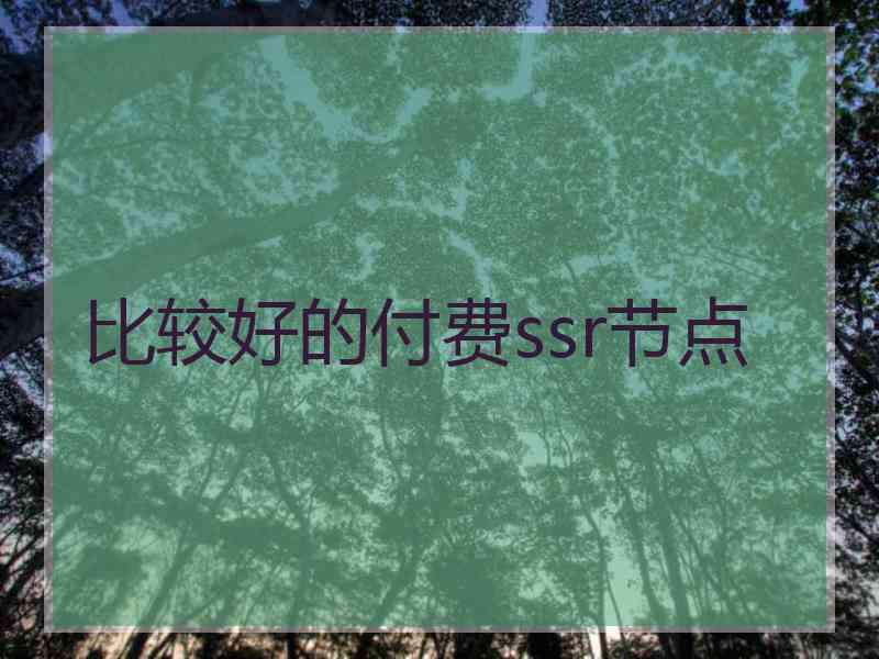 比较好的付费ssr节点
