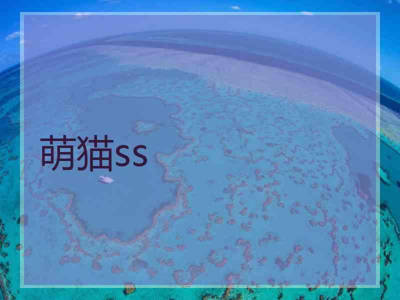 萌猫ss