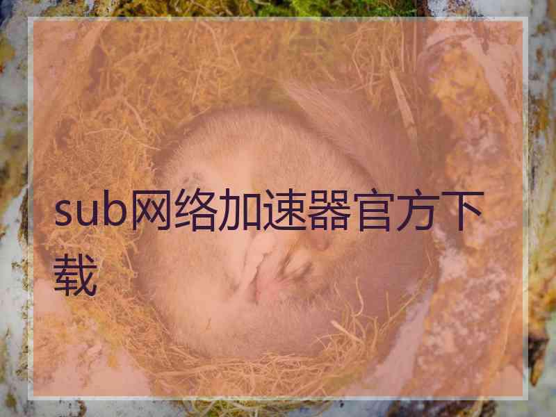 sub网络加速器官方下载