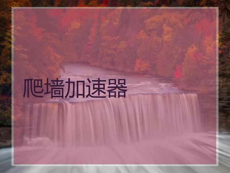 爬墙加速器