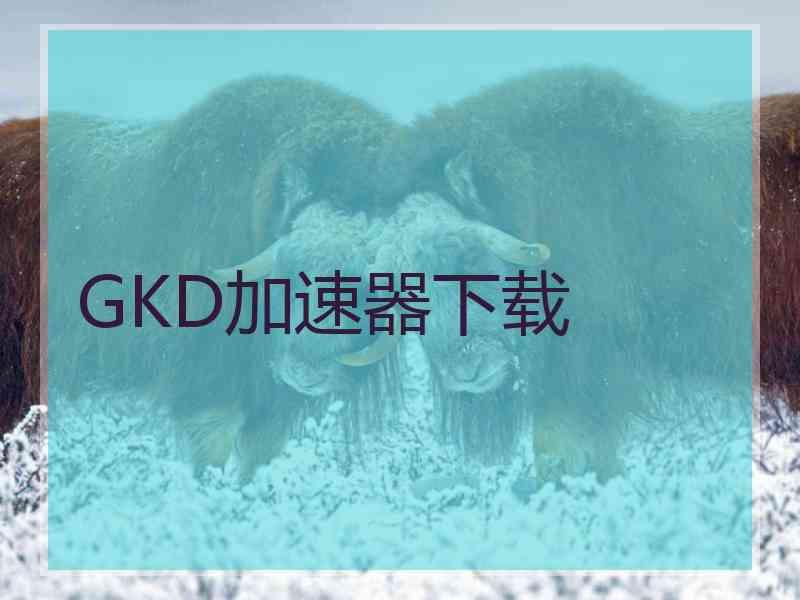 GKD加速器下载
