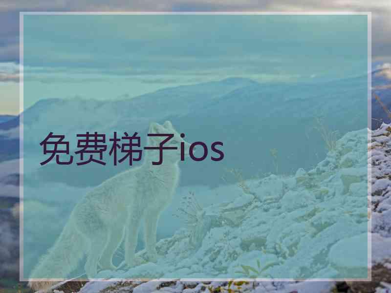 免费梯子ios