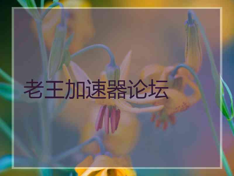 老王加速器论坛