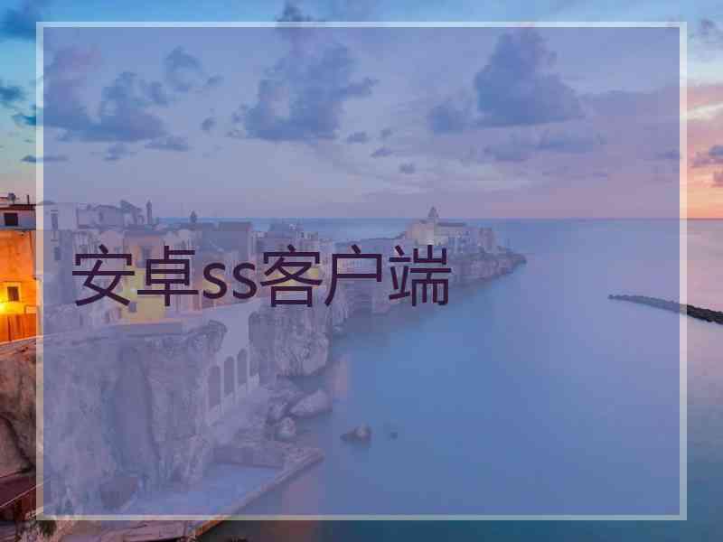 安卓ss客户端