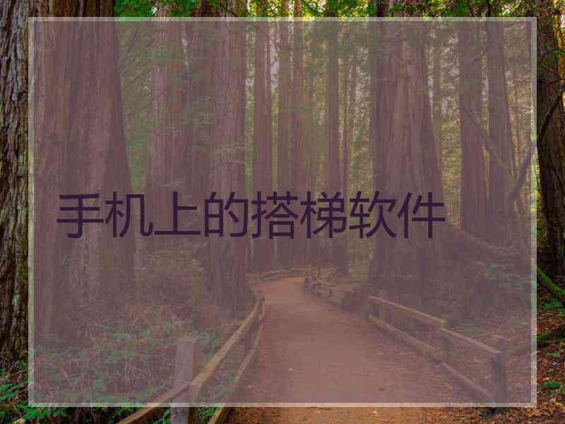 手机上的搭梯软件