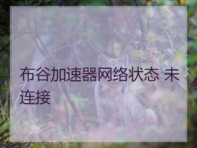 布谷加速器网络状态 未连接