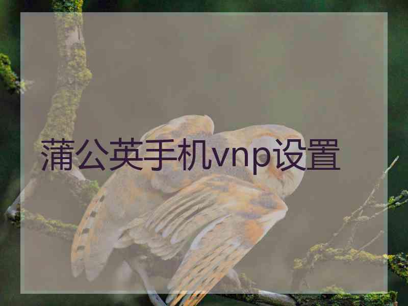 蒲公英手机vnp设置