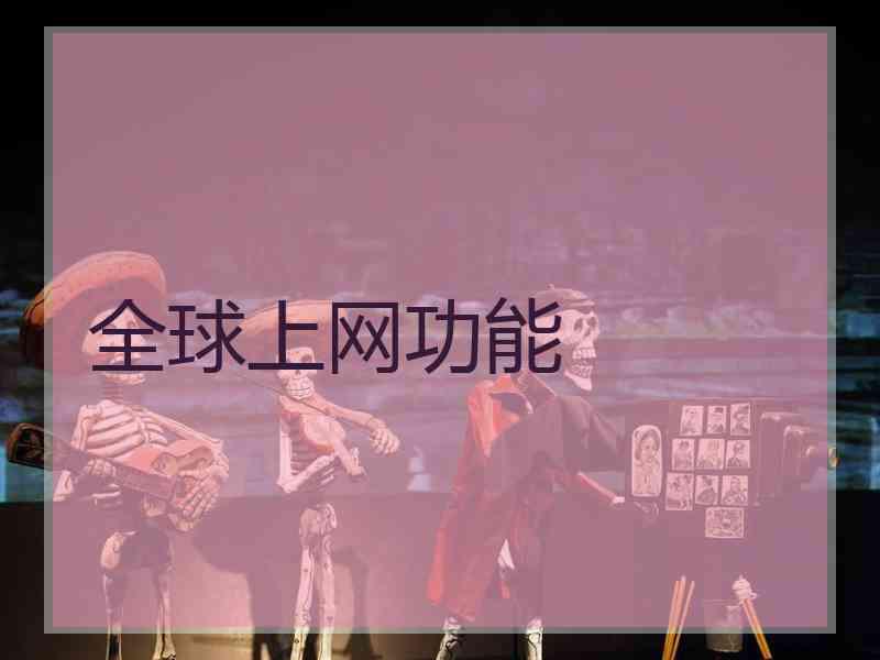 全球上网功能