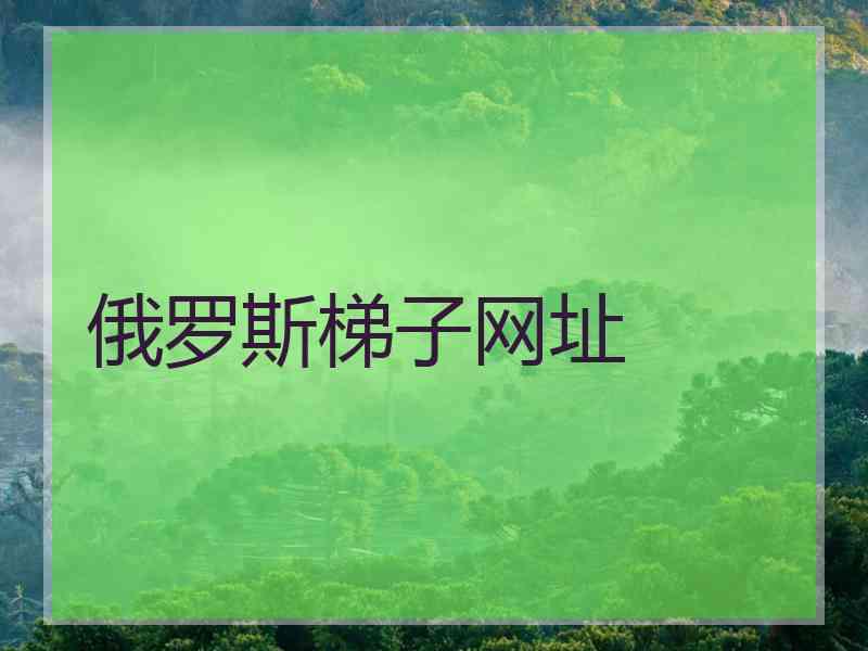 俄罗斯梯子网址