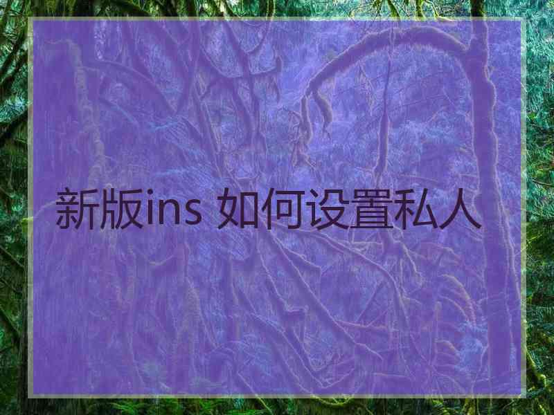 新版ins 如何设置私人