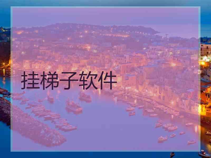 挂梯子软件