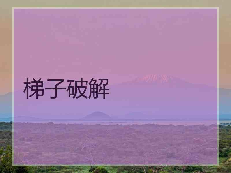 梯子破解