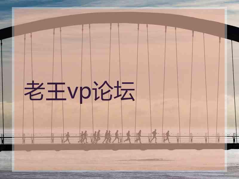 老王vp论坛