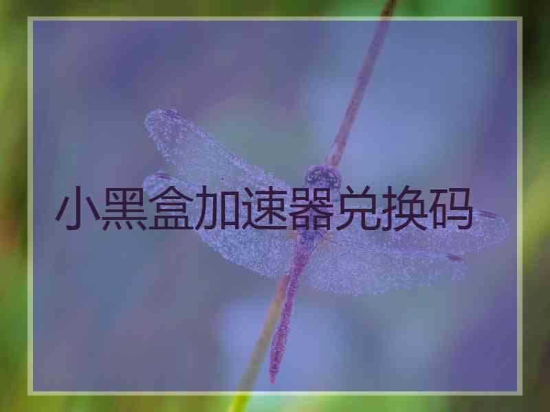 小黑盒加速器兑换码