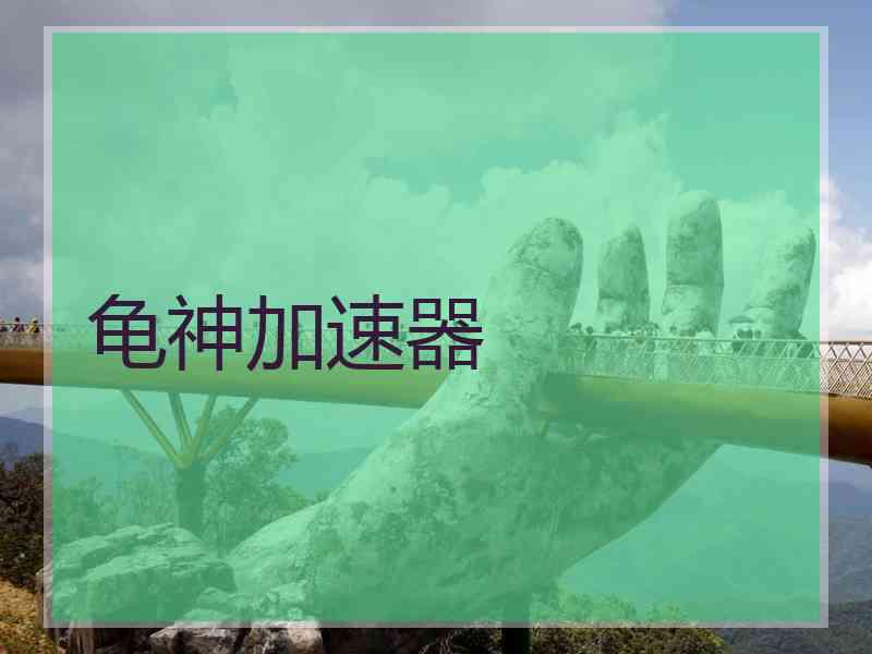 龟神加速器