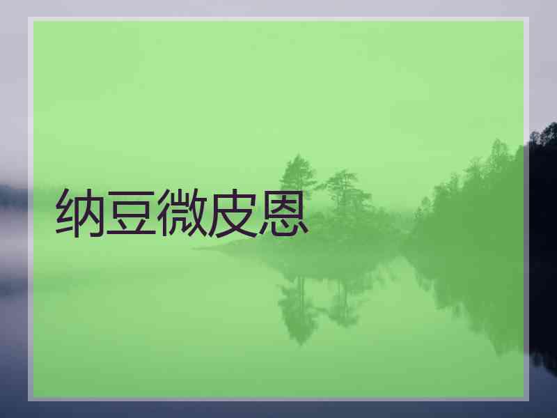 纳豆微皮恩