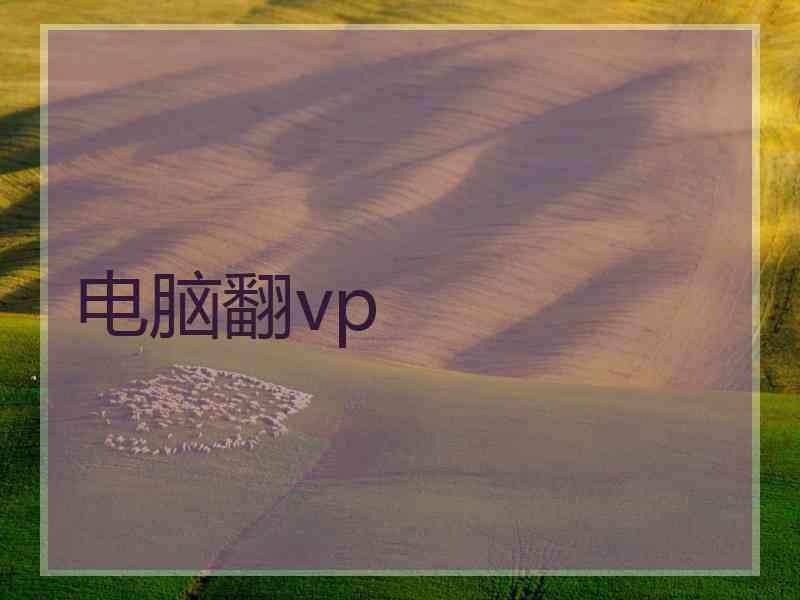 电脑翻vp