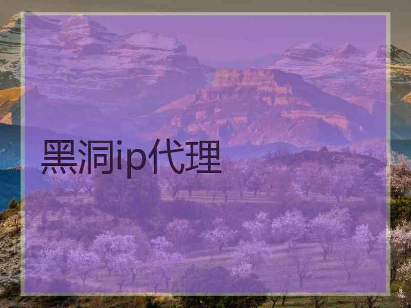 黑洞ip代理