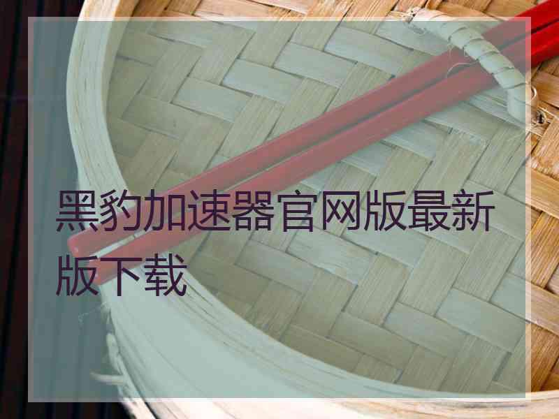 黑豹加速器官网版最新版下载