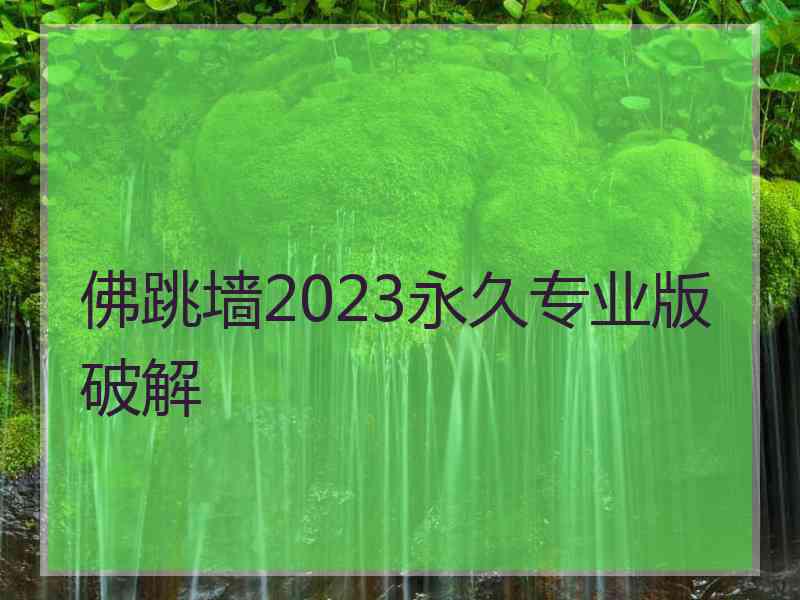 佛跳墙2023永久专业版破解