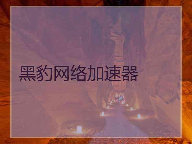 黑豹网络加速器