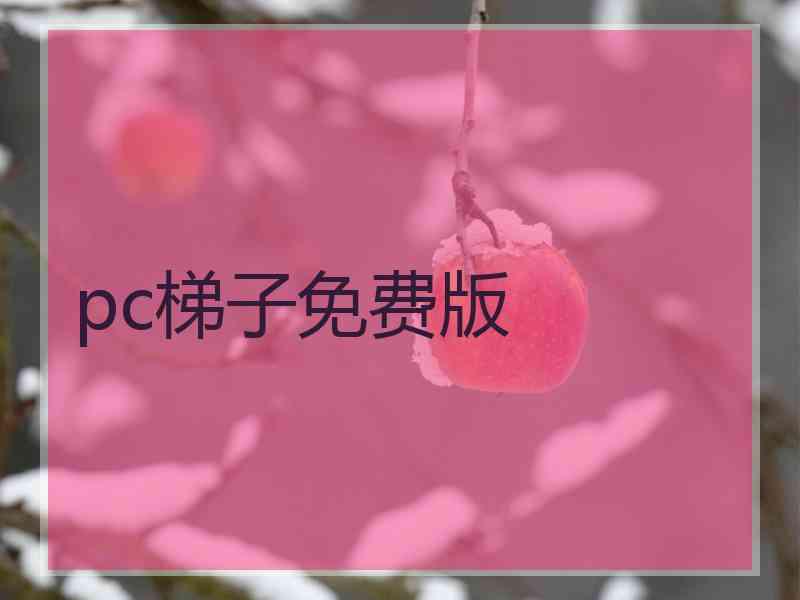 pc梯子免费版