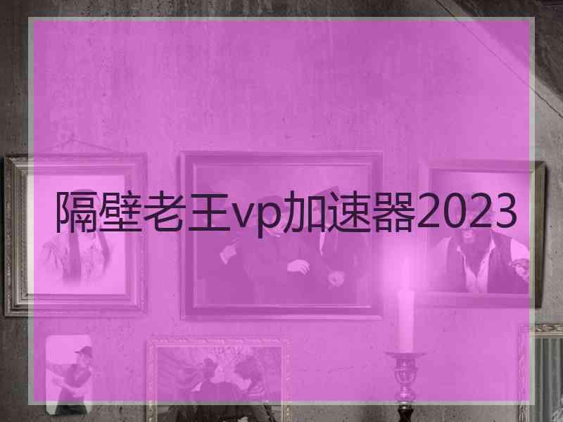 隔壁老王vp加速器2023