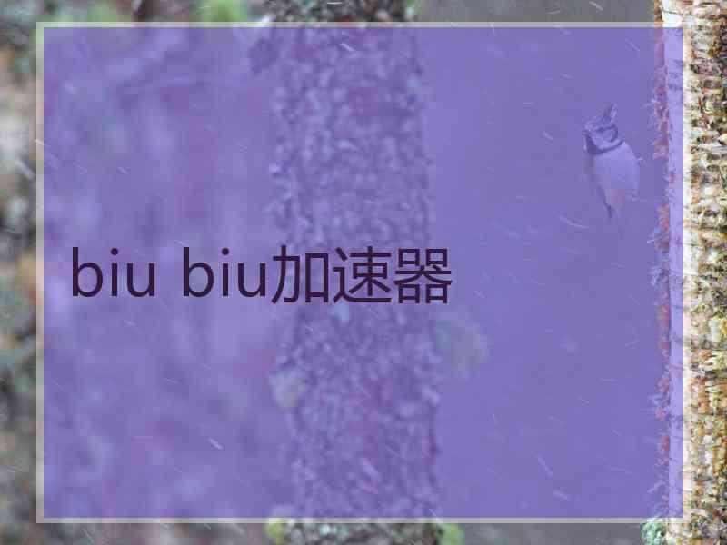 biu biu加速器