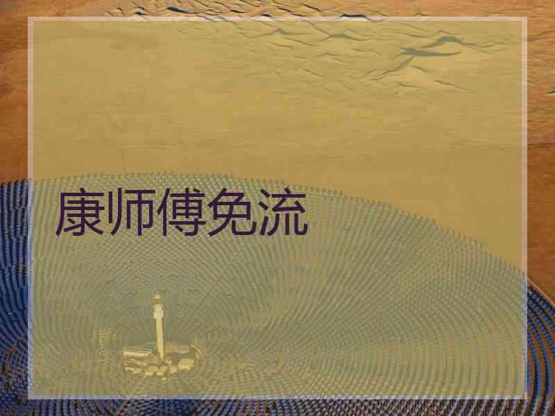康师傅免流