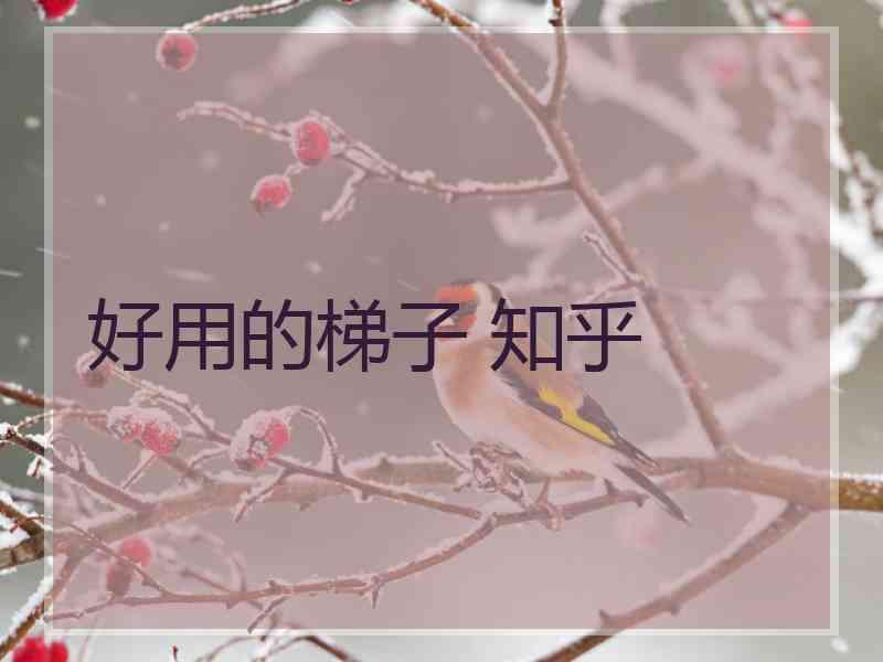 好用的梯子 知乎