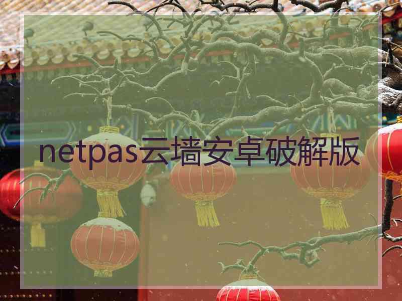 netpas云墙安卓破解版