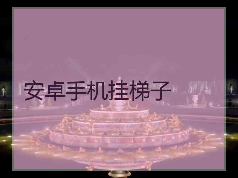 安卓手机挂梯子