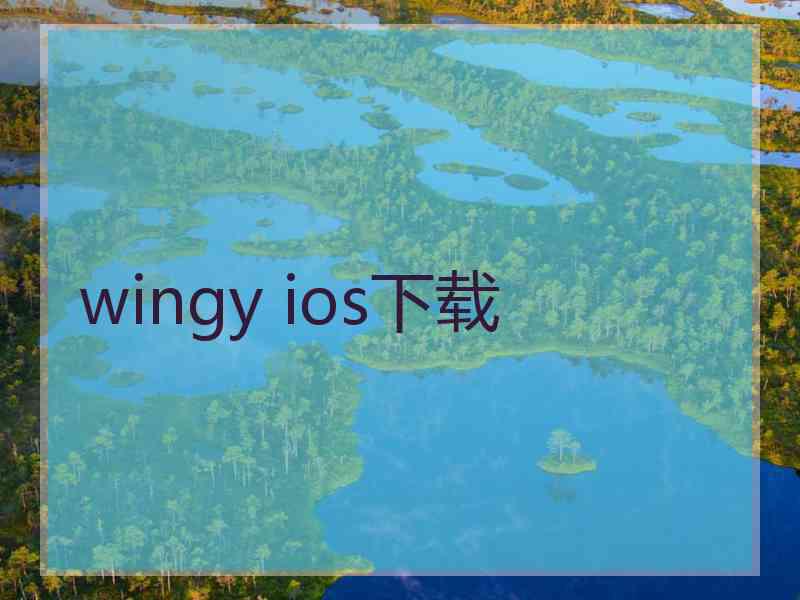 wingy ios下载