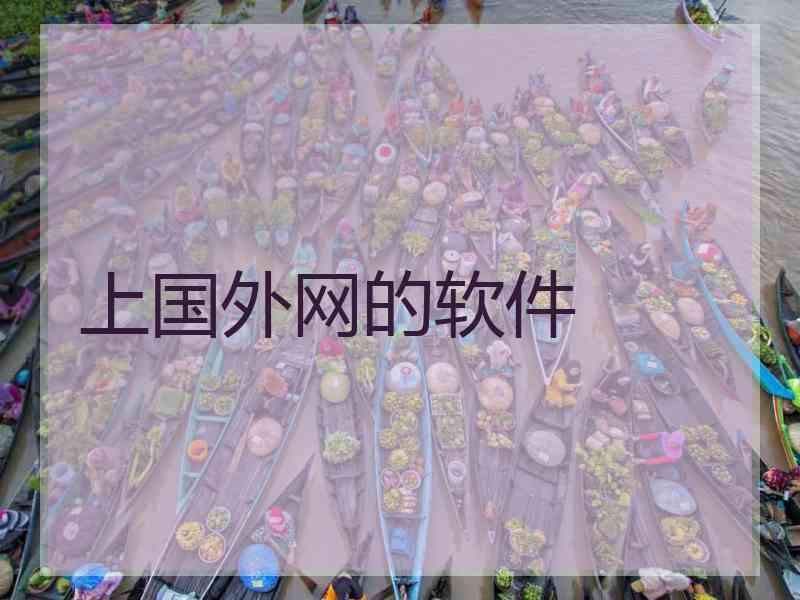 上国外网的软件