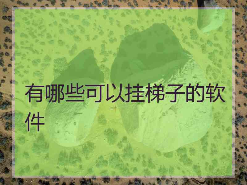有哪些可以挂梯子的软件