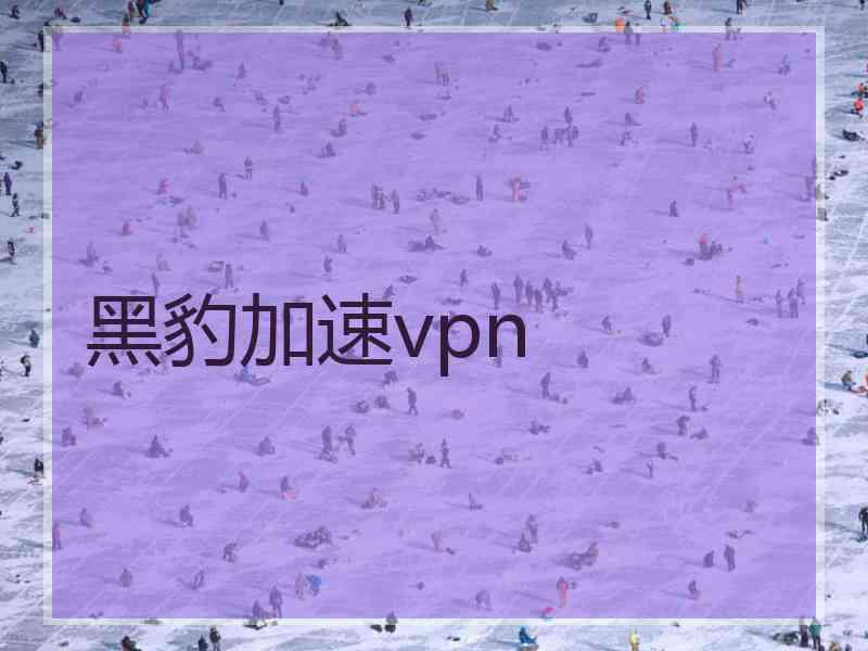 黑豹加速vpn