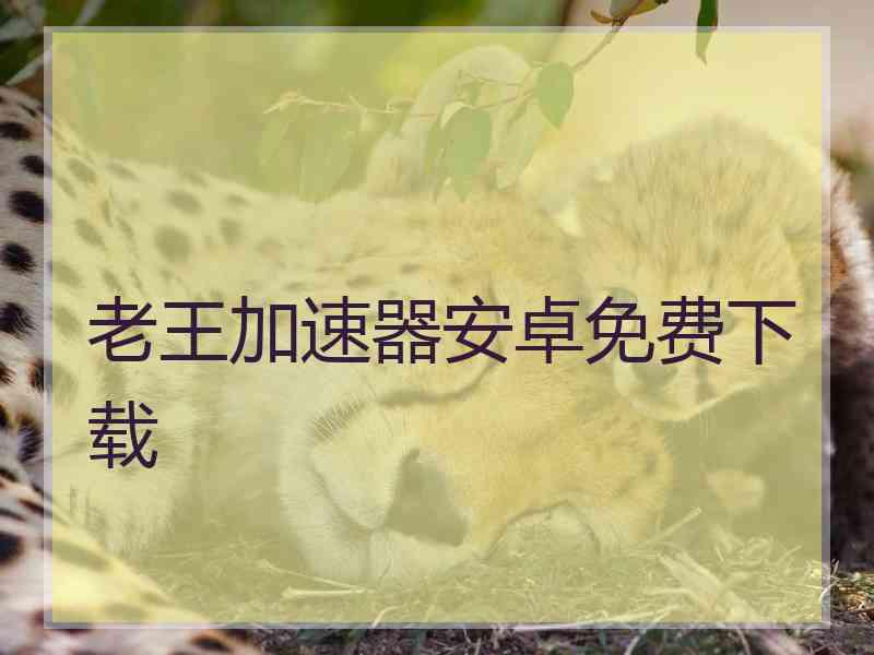 老王加速器安卓免费下载