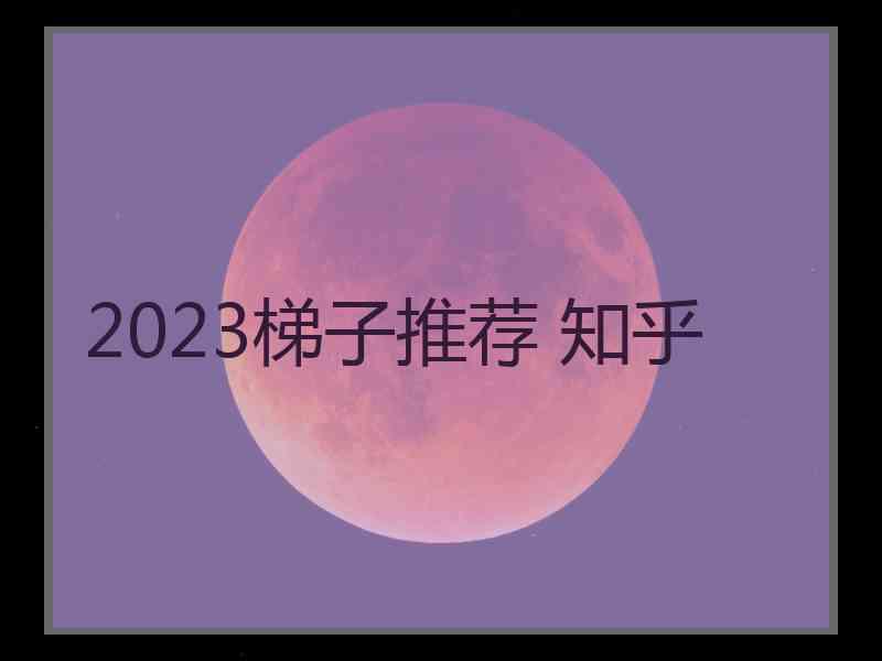 2023梯子推荐 知乎