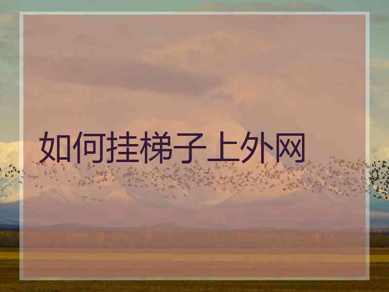 如何挂梯子上外网