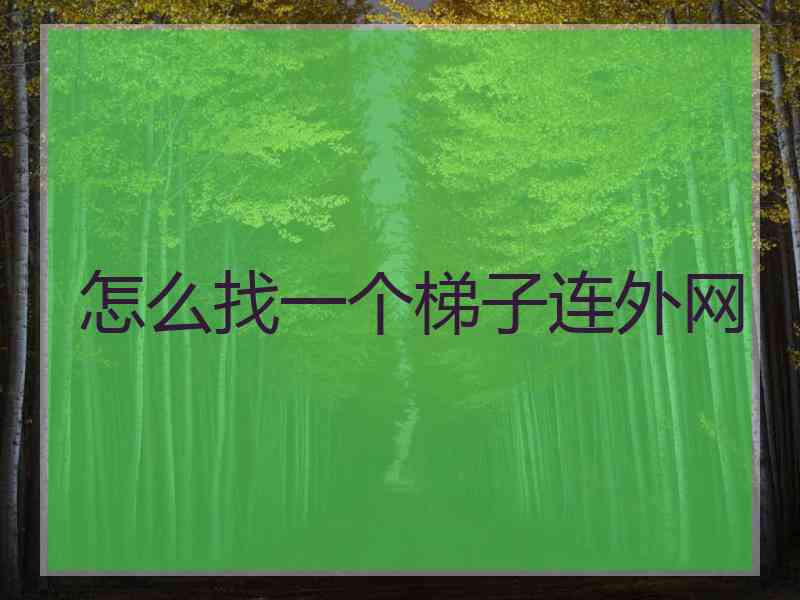 怎么找一个梯子连外网