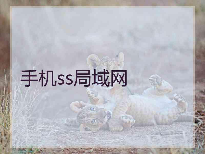 手机ss局域网