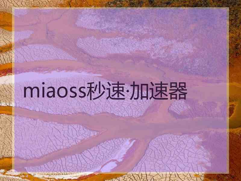 miaoss秒速·加速器