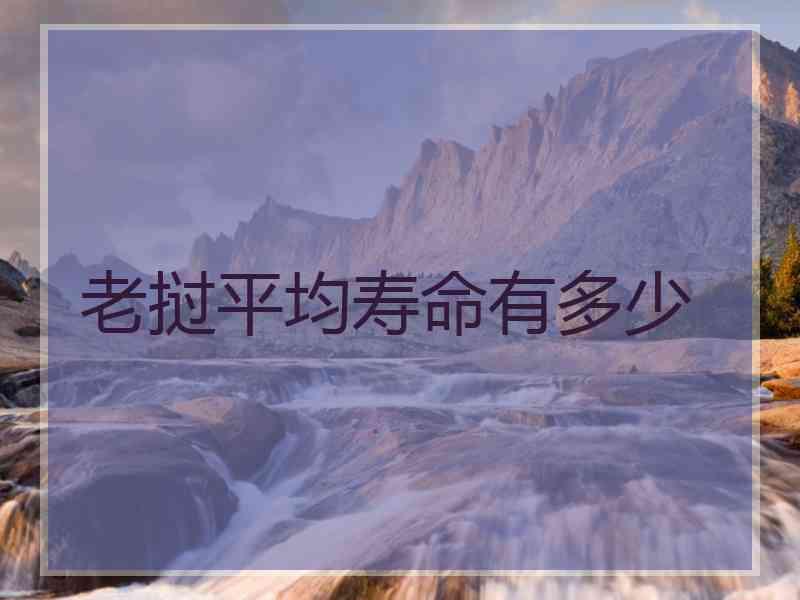 老挝平均寿命有多少