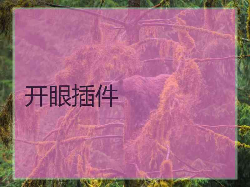 开眼插件