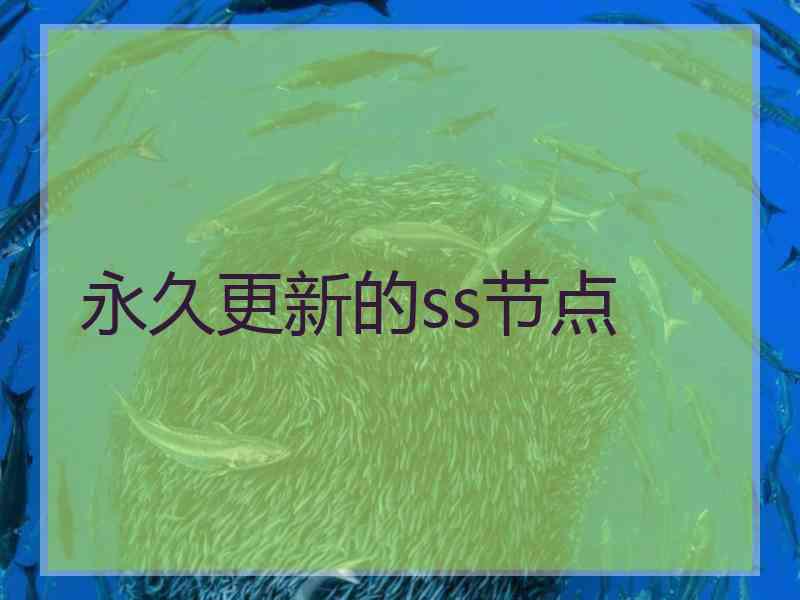 永久更新的ss节点