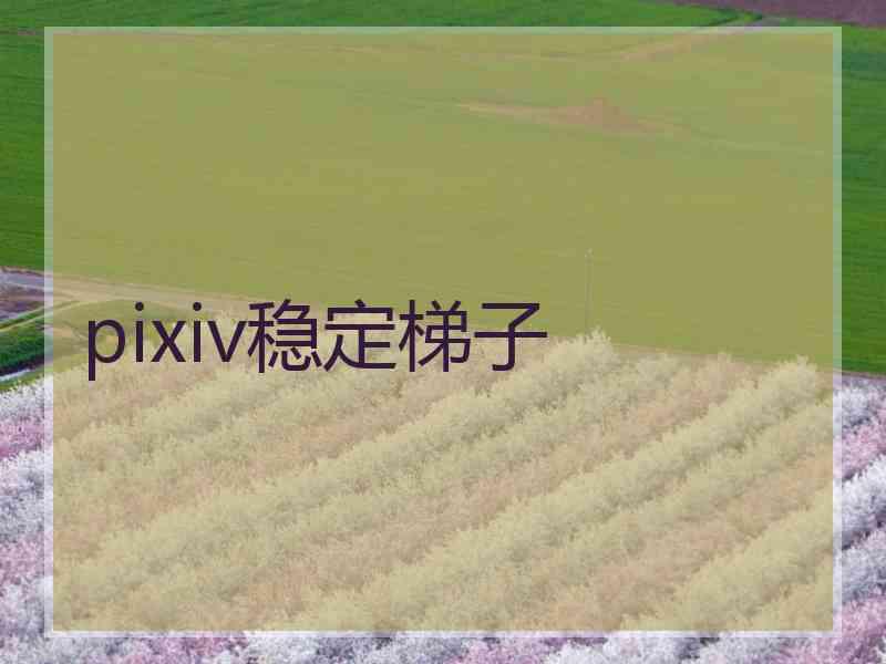 pixiv稳定梯子