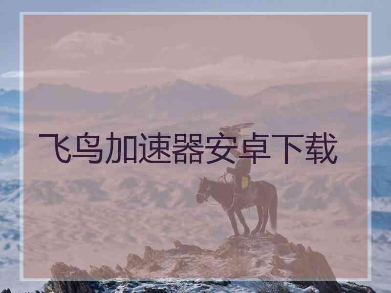 飞鸟加速器安卓下载