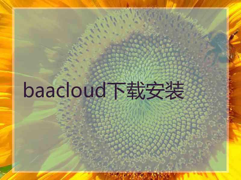 baacloud下载安装