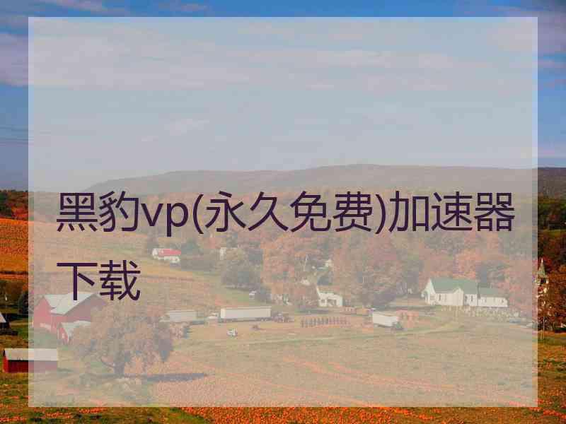 黑豹vp(永久免费)加速器下载